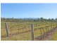 208 Talga Road, Lovedale NSW 2325