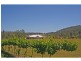 208 Talga Road, Lovedale NSW 2325