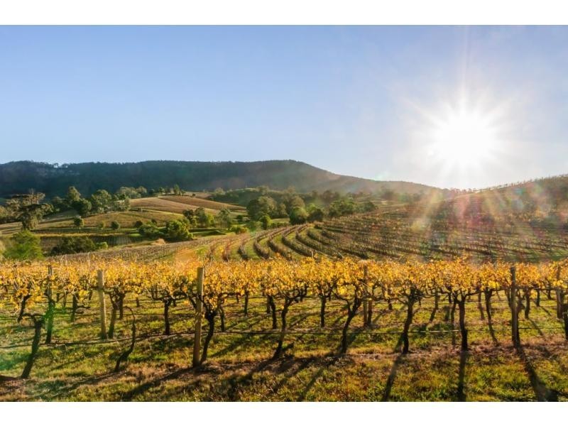 Mount View NSW 2325