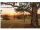 Mount View NSW 2325