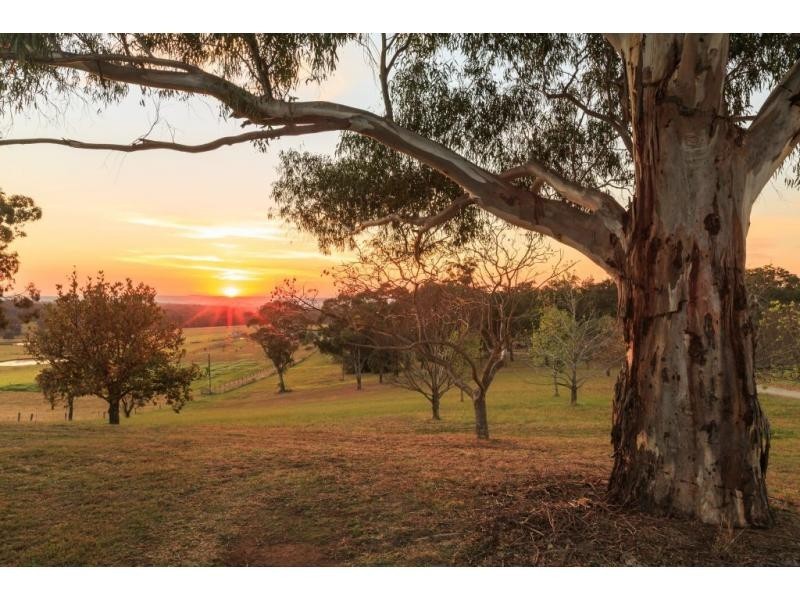 Mount View NSW 2325