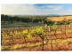 Mount View NSW 2325