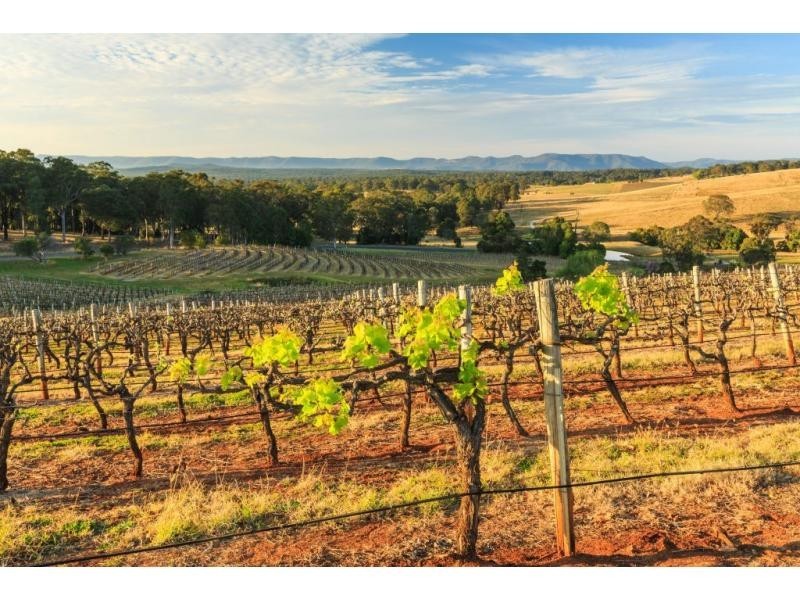 Mount View NSW 2325