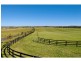665 Luskintyre Road, Luskintyre NSW 2321