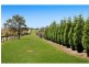 665 Luskintyre Road, Luskintyre NSW 2321
