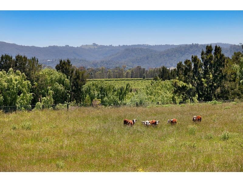 665 Luskintyre Road, Luskintyre NSW 2321