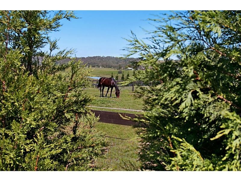 665 Luskintyre Road, Luskintyre NSW 2321