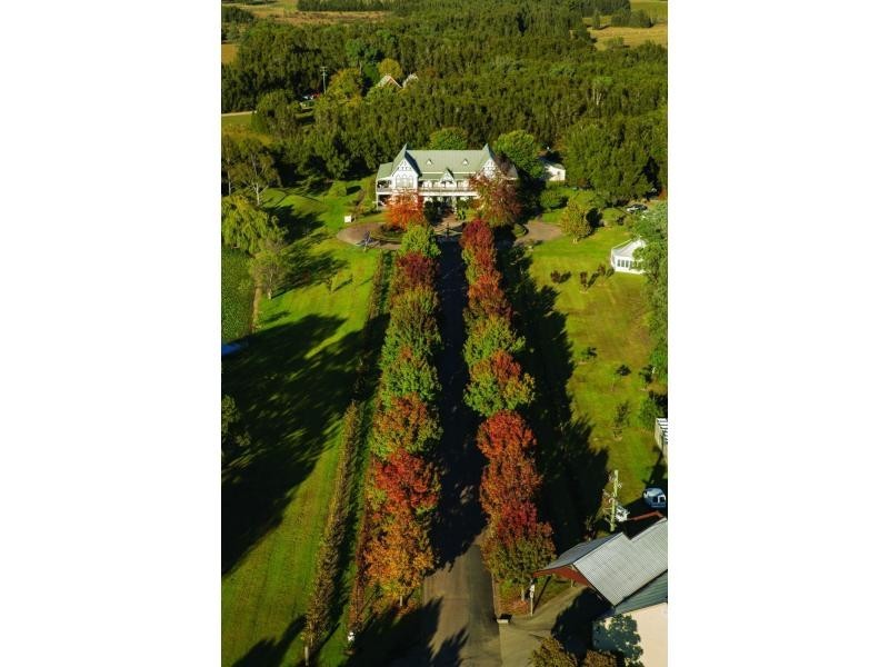 6 Halls Road, Pokolbin NSW 2320