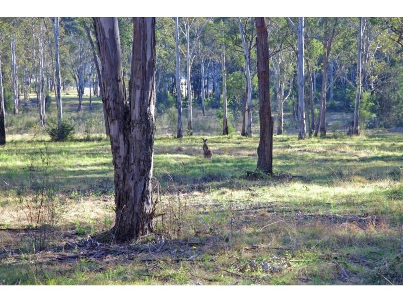 Lot 1 Millfield Road, Paxton NSW 2325