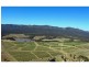 PL1,2,3 & 4 Mistletoe Road, Pokolbin NSW 2320