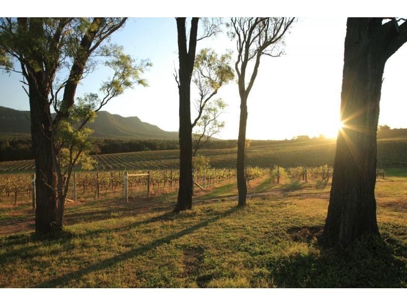 PL1,2,3 & 4 Mistletoe Road, Pokolbin NSW 2320