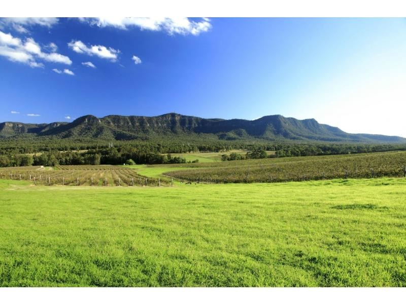 PL1,2,3 & 4 Mistletoe Road, Pokolbin NSW 2320