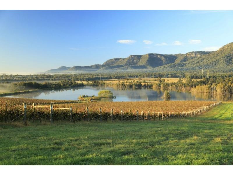 PL1,2,3 & 4 Mistletoe Road, Pokolbin NSW 2320