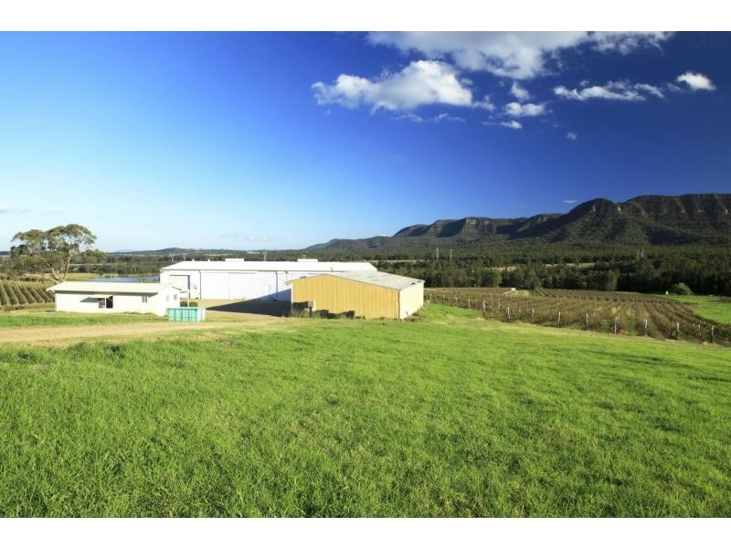 PL1,2,3 & 4 Mistletoe Road, Pokolbin NSW 2320