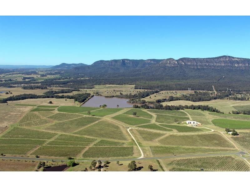 PL1,2,3 & 4 Mistletoe Road, Pokolbin NSW 2320