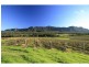 PL1,2,3 & 4 Mistletoe Road, Pokolbin NSW 2320