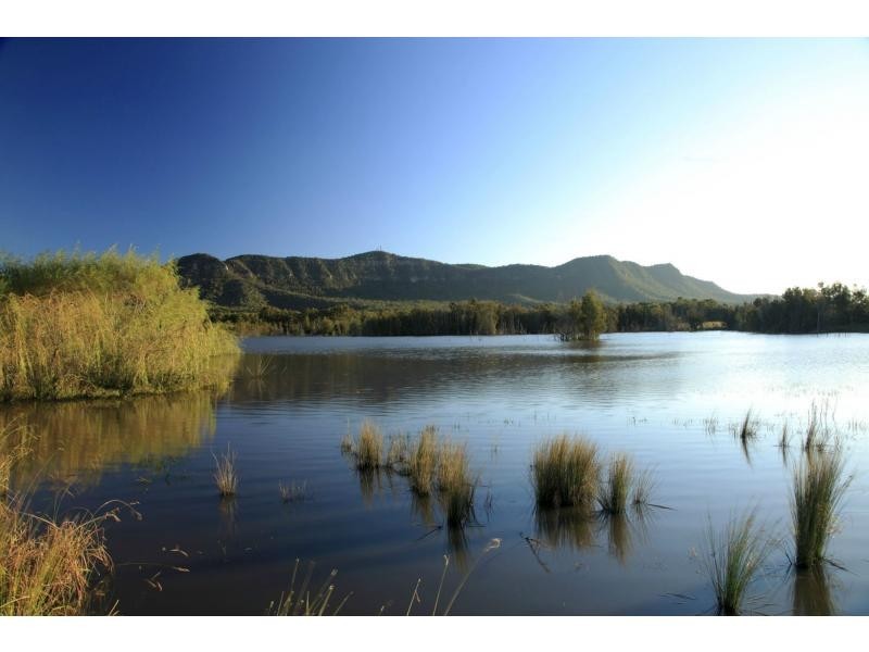 PL1,2,3 & 4 Mistletoe Road, Pokolbin NSW 2320