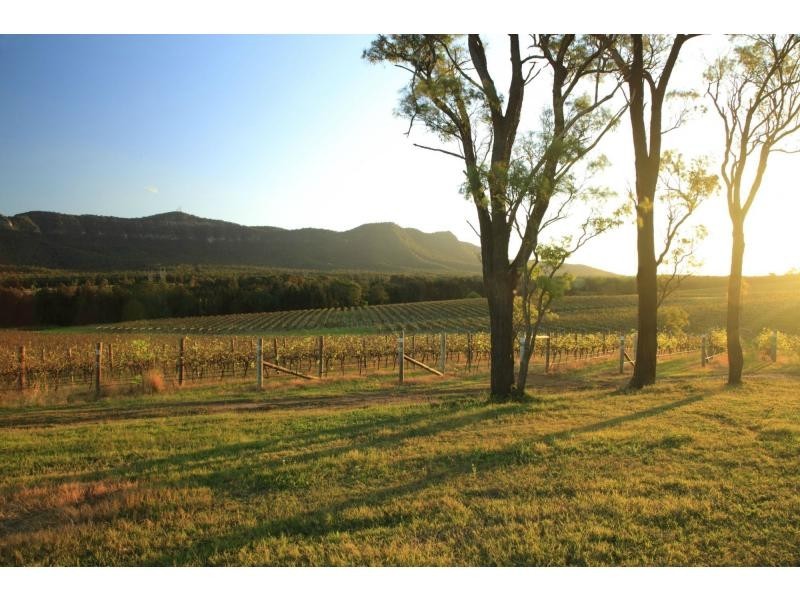 PL1,2,3 & 4 Mistletoe Road, Pokolbin NSW 2320