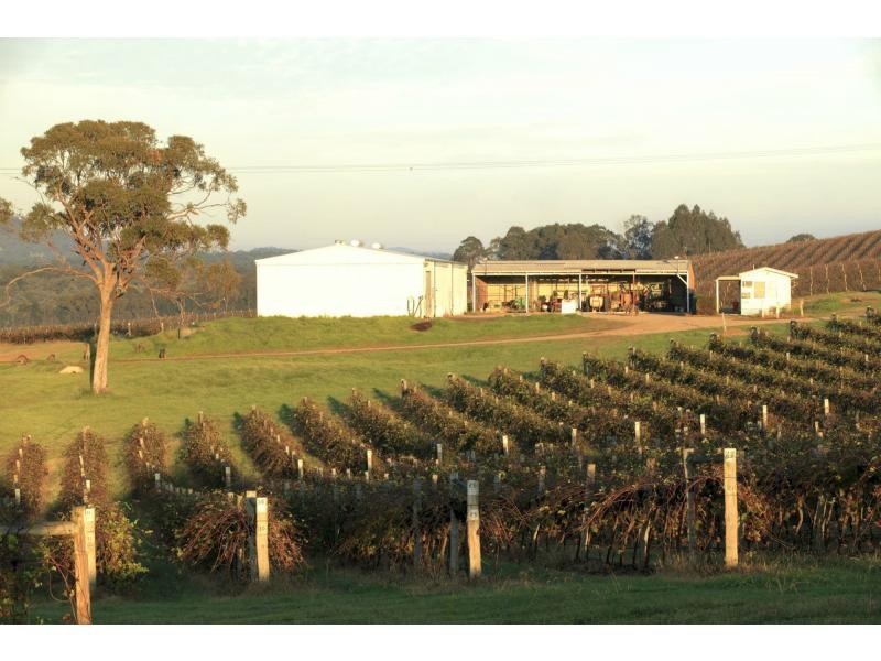 PL1,2,3 & 4 Mistletoe Road, Pokolbin NSW 2320