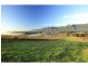 PL1,2,3 & 4 Mistletoe Road, Pokolbin NSW 2320