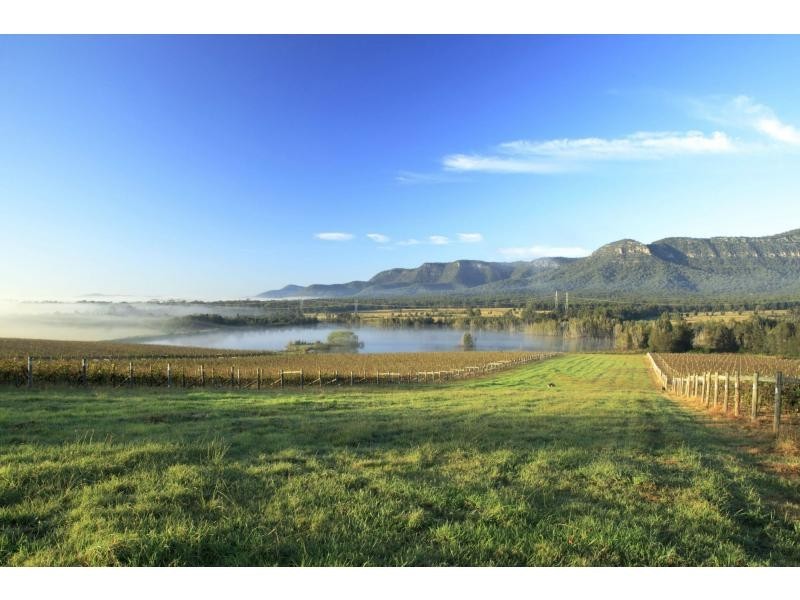 PL1,2,3 & 4 Mistletoe Road, Pokolbin NSW 2320