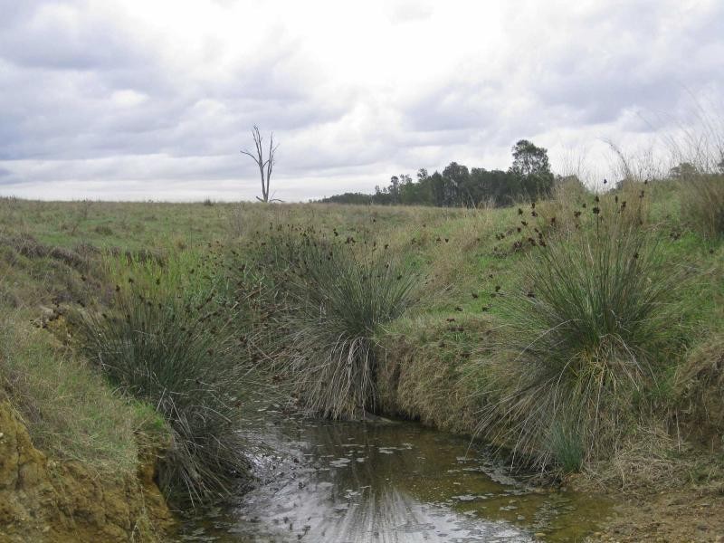 L13 Old North Road, Pokolbin NSW 2320