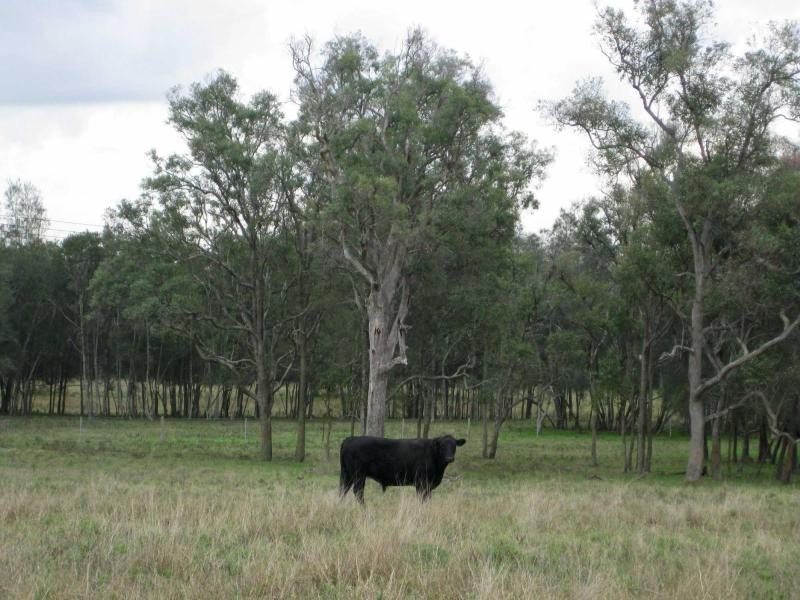 L13 Old North Road, Pokolbin NSW 2320