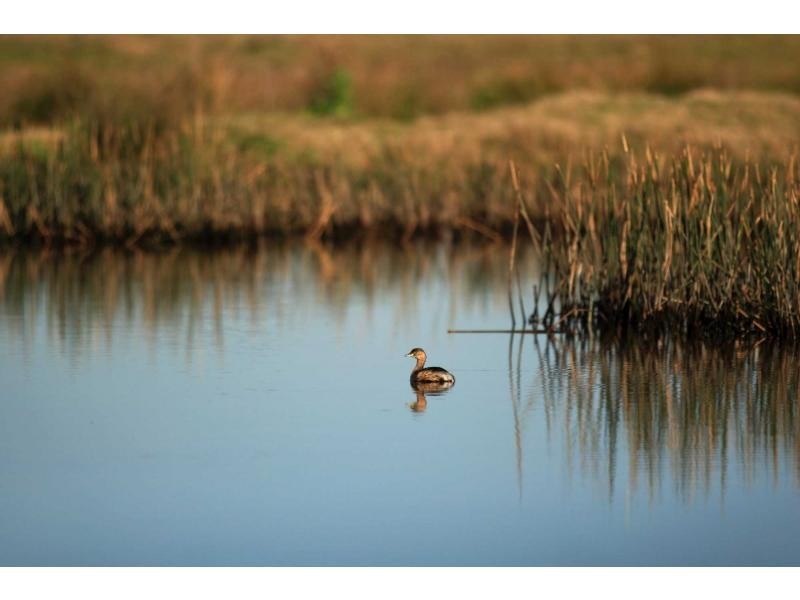 L14 Old North Road, Pokolbin NSW 2320