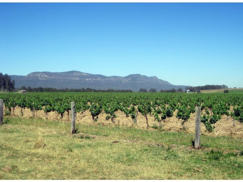 L12 Old North Road, Pokolbin NSW 2320