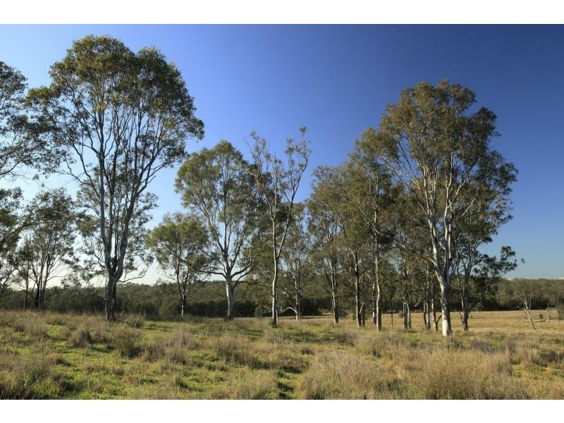 L12 Old North Road, Pokolbin NSW 2320