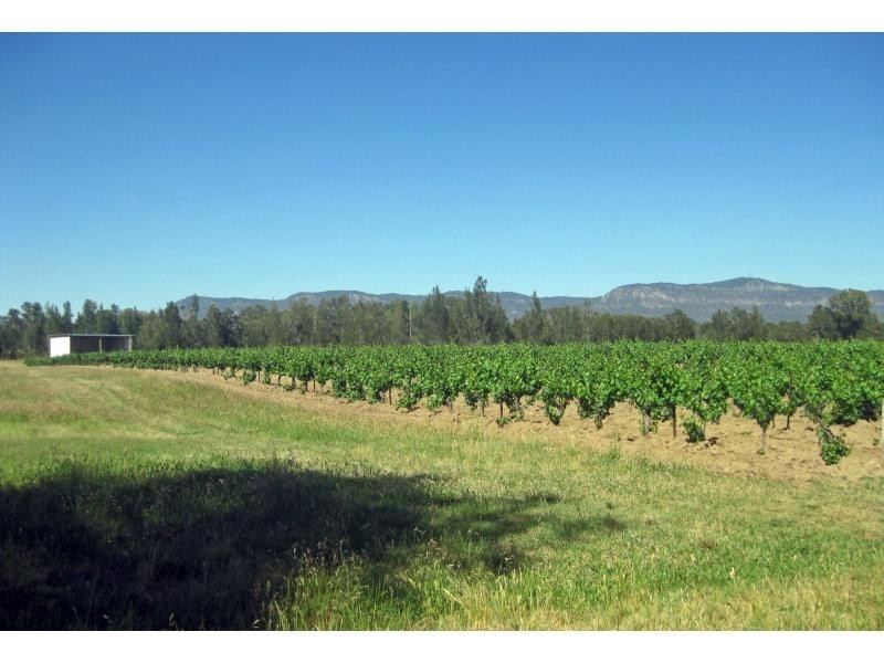 L12 Old North Road, Pokolbin NSW 2320