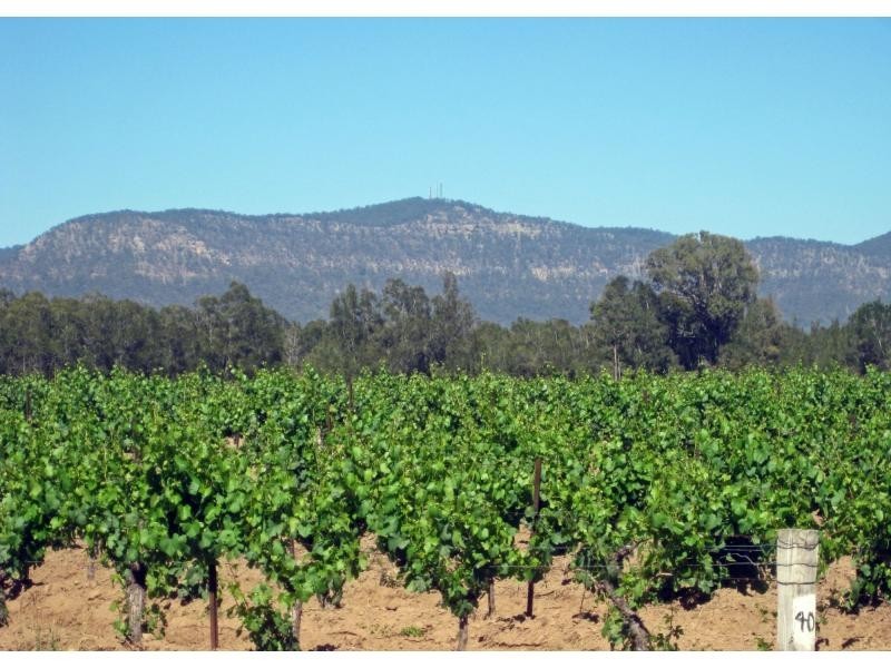 L12 Old North Road, Pokolbin NSW 2320