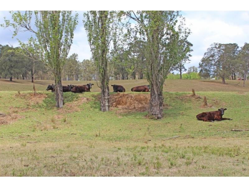 L3, 1547 George Booth Drive, Buchanan NSW 2323