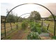 45 Stapleton Road, Laguna NSW 2325