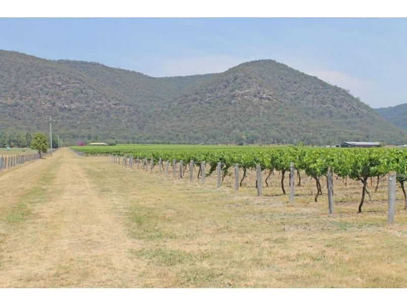 420 Milbrodale Road, Broke NSW 2330