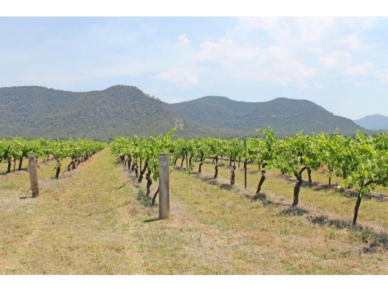 420 Milbrodale Road, Broke NSW 2330