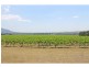 420 Milbrodale Road, Broke NSW 2330