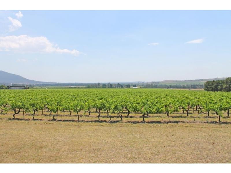 420 Milbrodale Road, Broke NSW 2330