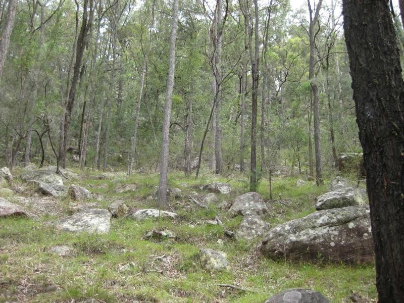 Broke NSW 2330