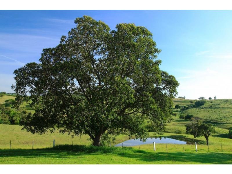 632 Mount View Road, Mount View NSW 2325