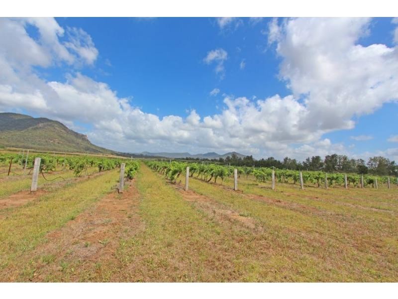 397 Milbrodale Road, Fordwich NSW 2330