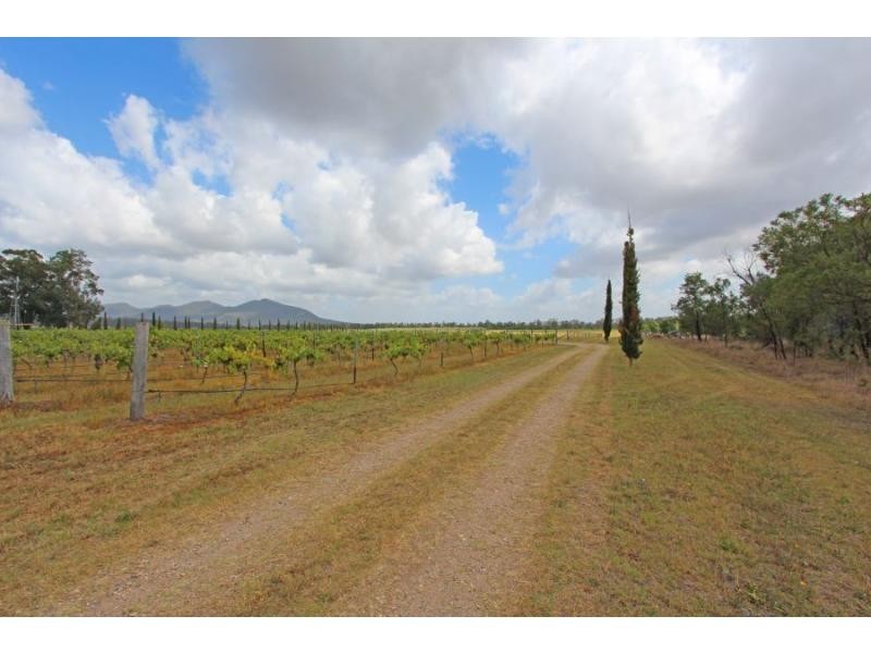 397 Milbrodale Road, Fordwich NSW 2330