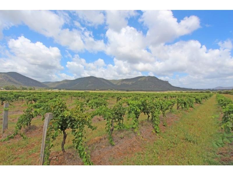 397 Milbrodale Road, Broke NSW 2330