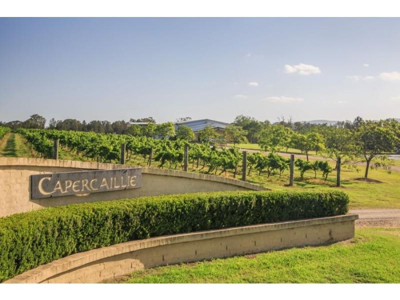 4 Londons Road, Lovedale NSW 2325