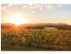 4 Londons Road, Lovedale NSW 2325
