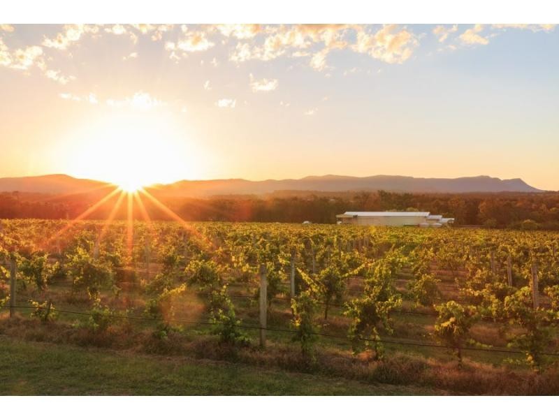 4 Londons Road, Lovedale NSW 2325
