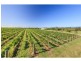 4 Londons Road, Lovedale NSW 2325