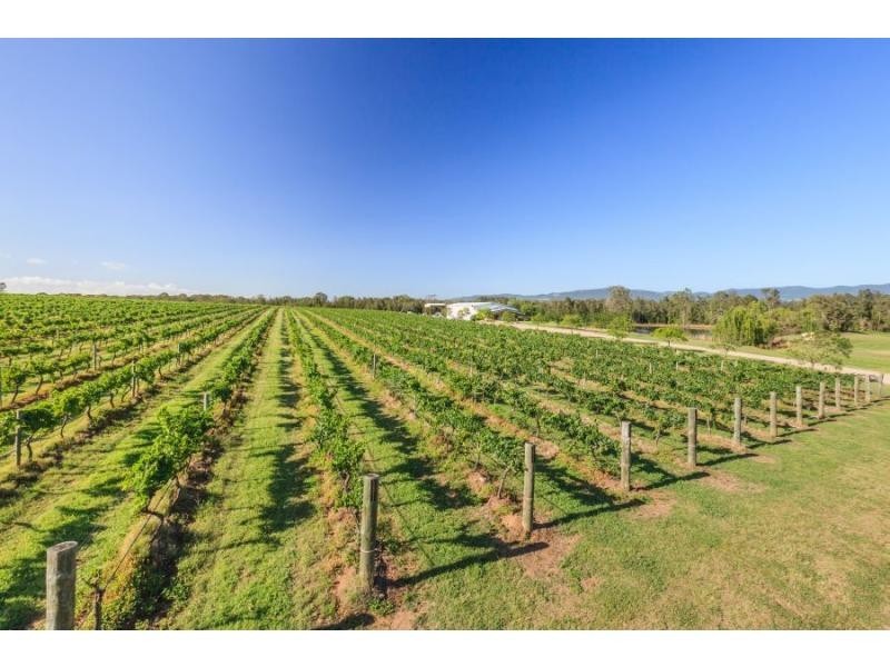 4 Londons Road, Lovedale NSW 2325