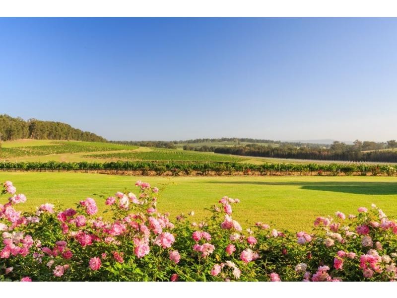 310 Oakey Creek Road, Pokolbin NSW 2320