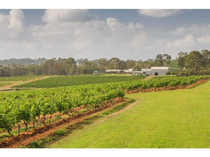 310 Oakey Creek Road, Pokolbin NSW 2320